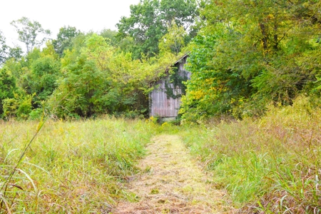 Farm - Cropland - Hunting - Home Sites - image 7