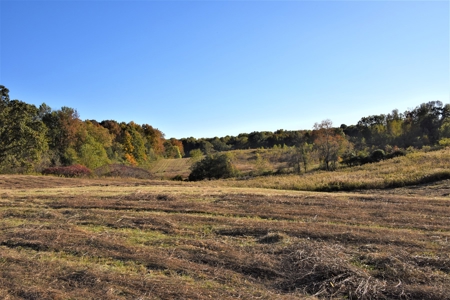 Farm - Cropland - Hunting - Home Sites - image 15