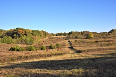 Farm - Cropland - Hunting - Home Sites - image 18