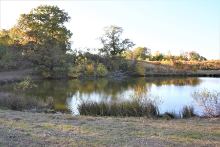 Farm - Cropland - Hunting - Home Sites - image 25