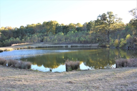 Farm - Cropland - Hunting - Home Sites - image 21