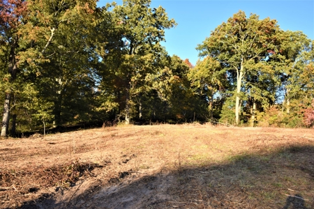 Farm - Cropland - Hunting - Home Sites - image 29