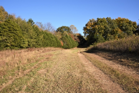 Farm - Cropland - Hunting - Home Sites - image 8