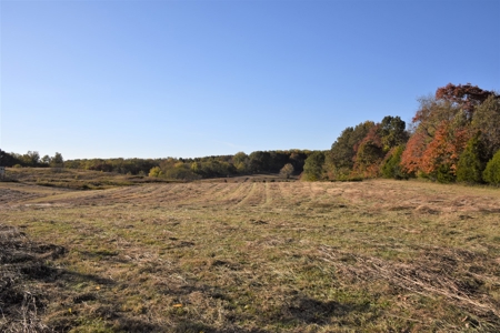Farm - Cropland - Hunting - Home Sites - image 10