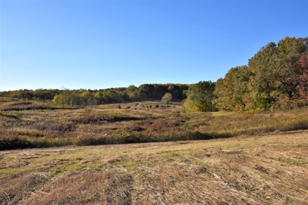Farm - Cropland - Hunting - Home Sites - image 13
