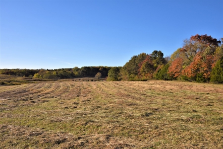 Farm - Cropland - Hunting - Home Sites - image 12