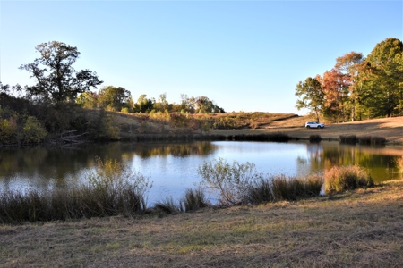 Farm - Cropland - Hunting - Home Sites - image 26