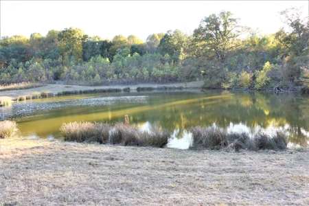 Farm - Cropland - Hunting - Home Sites - image 22