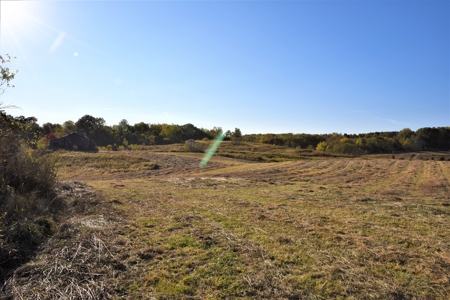 Farm - Cropland - Hunting - Home Sites - image 11