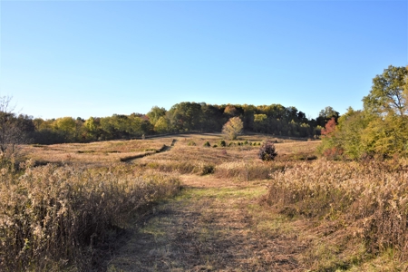 Farm - Cropland - Hunting - Home Sites - image 16