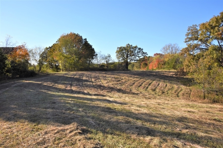 Farm - Cropland - Hunting - Home Sites - image 9
