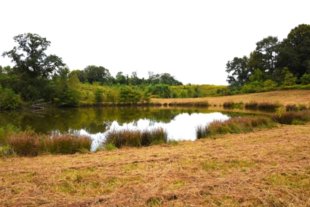 Farm - Cropland - Hunting - Home Sites - image 2