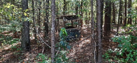 Beautiful Property in North Georgia Mountains - image 7