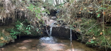 Beautiful Property in North Georgia Mountains - image 1