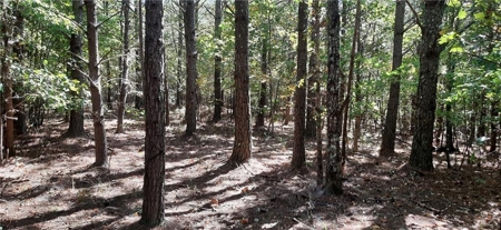 Beautiful Property in North Georgia Mountains - image 6