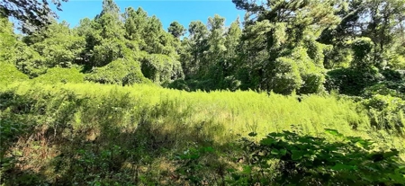 Beautiful Property in North Georgia Mountains - image 2