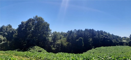Beautiful Property in North Georgia Mountains - image 10