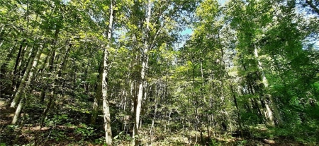 Beautiful Property in North Georgia Mountains - image 3