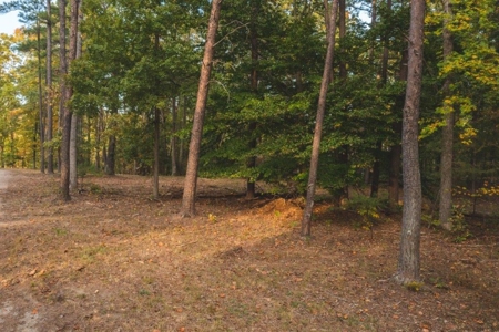 *UNDER CONTRACT* Commercial Land for Sale in Powhatan VA! - image 3