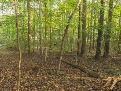 *UNDER CONTRACT* Homesite for Sale in Powhatan VA! - image 16