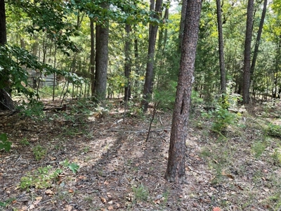 *UNDER CONTRACT* Homesite for Sale in Powhatan VA! - image 3