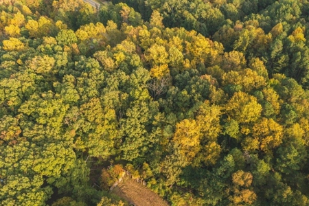 *UNDER CONTRACT* Homesite for Sale in Powhatan VA! - image 10