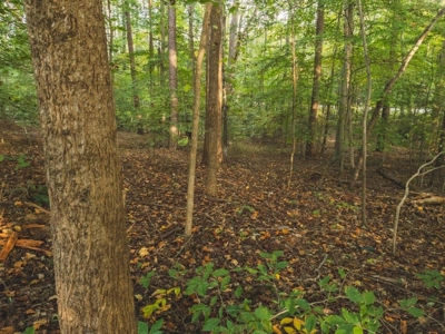 *UNDER CONTRACT* Homesite for Sale in Powhatan VA! - image 14
