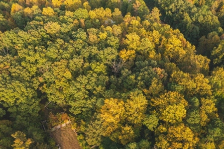 *UNDER CONTRACT* Homesite for Sale in Powhatan VA! - image 12