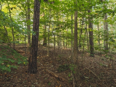 *UNDER CONTRACT* Homesite for Sale in Powhatan VA! - image 17