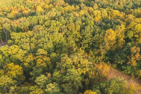 *UNDER CONTRACT* Homesite for Sale in Powhatan VA! - image 13