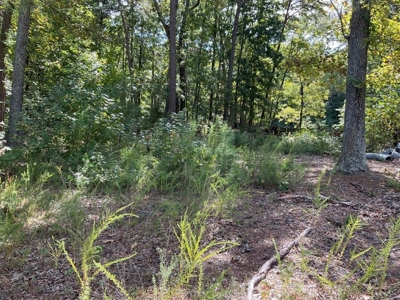*UNDER CONTRACT* Homesite for Sale in Powhatan VA! - image 2