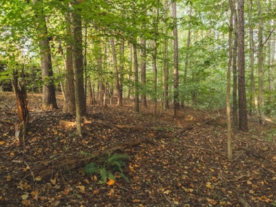 *UNDER CONTRACT* Homesite for Sale in Powhatan VA! - image 15