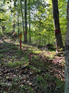 40 ± Acres | Monroe County Indiana | Land For Sale - image 8