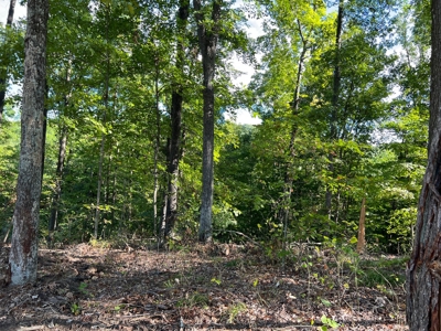 40 ± Acres | Monroe County Indiana | Land For Sale - image 6