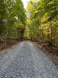 40 ± Acres | Monroe County Indiana | Land For Sale - image 2