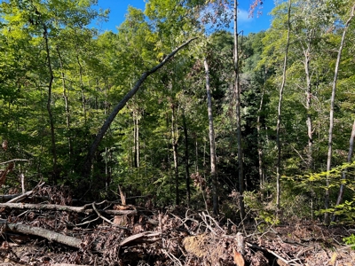 40 ± Acres | Monroe County Indiana | Land For Sale - image 10
