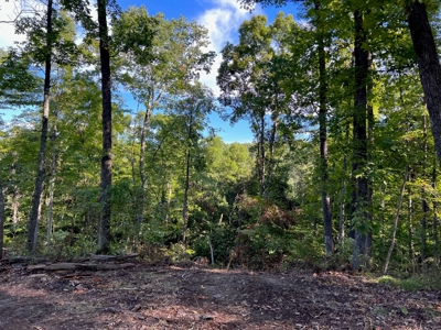 40 ± Acres | Monroe County Indiana | Land For Sale - image 1