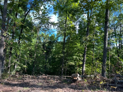 40 ± Acres | Monroe County Indiana | Land For Sale - image 5