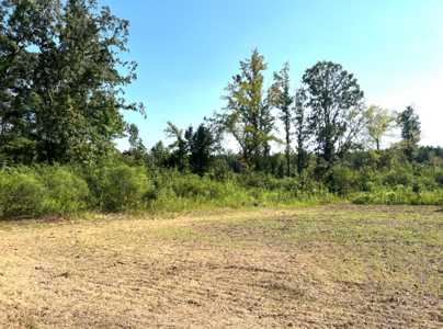 40 Acres Land for Sale Morehouse Parish, LA - image 16