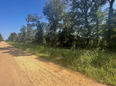 40 Acres Land for Sale Morehouse Parish, LA - image 18