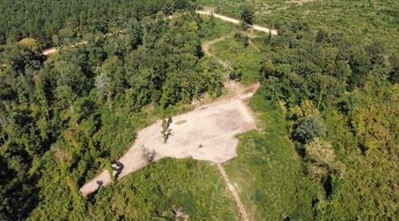 40 Acres Land for Sale Morehouse Parish, LA - image 6