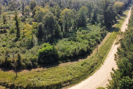 40 Acres Land for Sale Morehouse Parish, LA - image 12