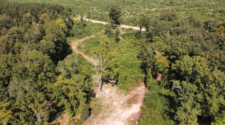 40 Acres Land for Sale Morehouse Parish, LA - image 10