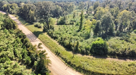 40 Acres Land for Sale Morehouse Parish, LA - image 13