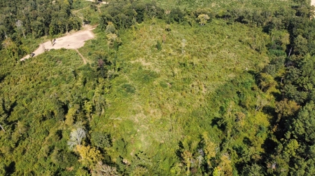 40 Acres Land for Sale Morehouse Parish, LA - image 4