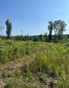 40 Acres Land for Sale Morehouse Parish, LA - image 21