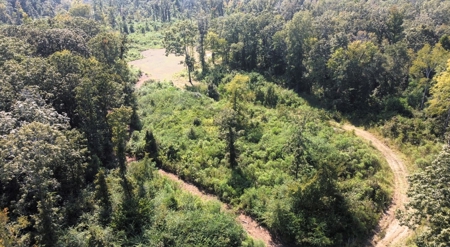 40 Acres Land for Sale Morehouse Parish, LA - image 11