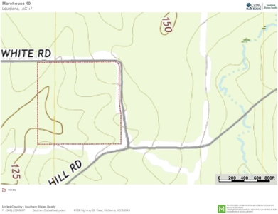 40 Acres Land for Sale Morehouse Parish, LA - image 27