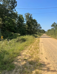 40 Acres Land for Sale Morehouse Parish, LA - image 17