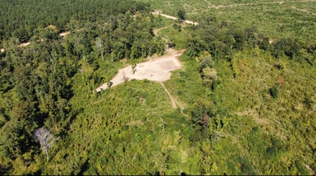 40 Acres Land for Sale Morehouse Parish, LA - image 5
